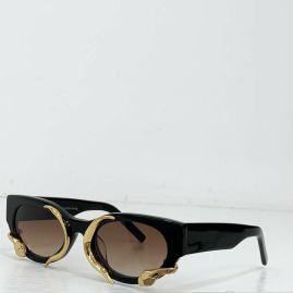 Picture of Roberto Cavalli Sunglasses _SKUfw55619785fw